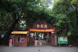 长沙吃瓜公园,揭秘城市中的休闲新地标 第3张 长沙吃瓜公园,揭秘城市中的休闲新地标 第3张